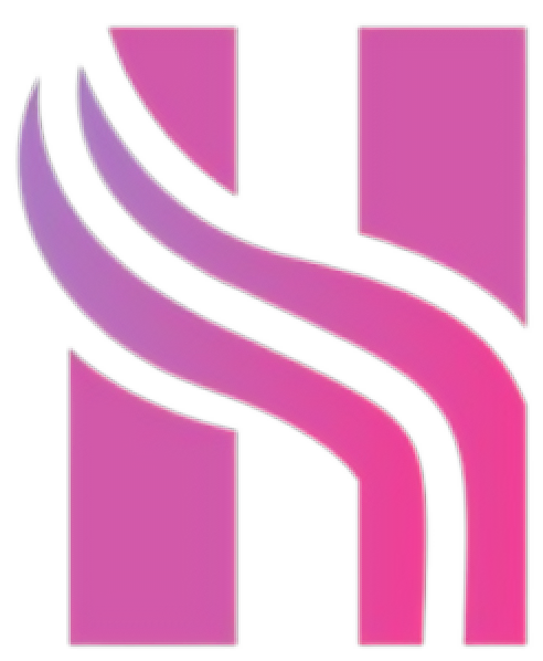 H&N Healthcare Logo
